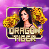 Dragon Tiger table game 5
